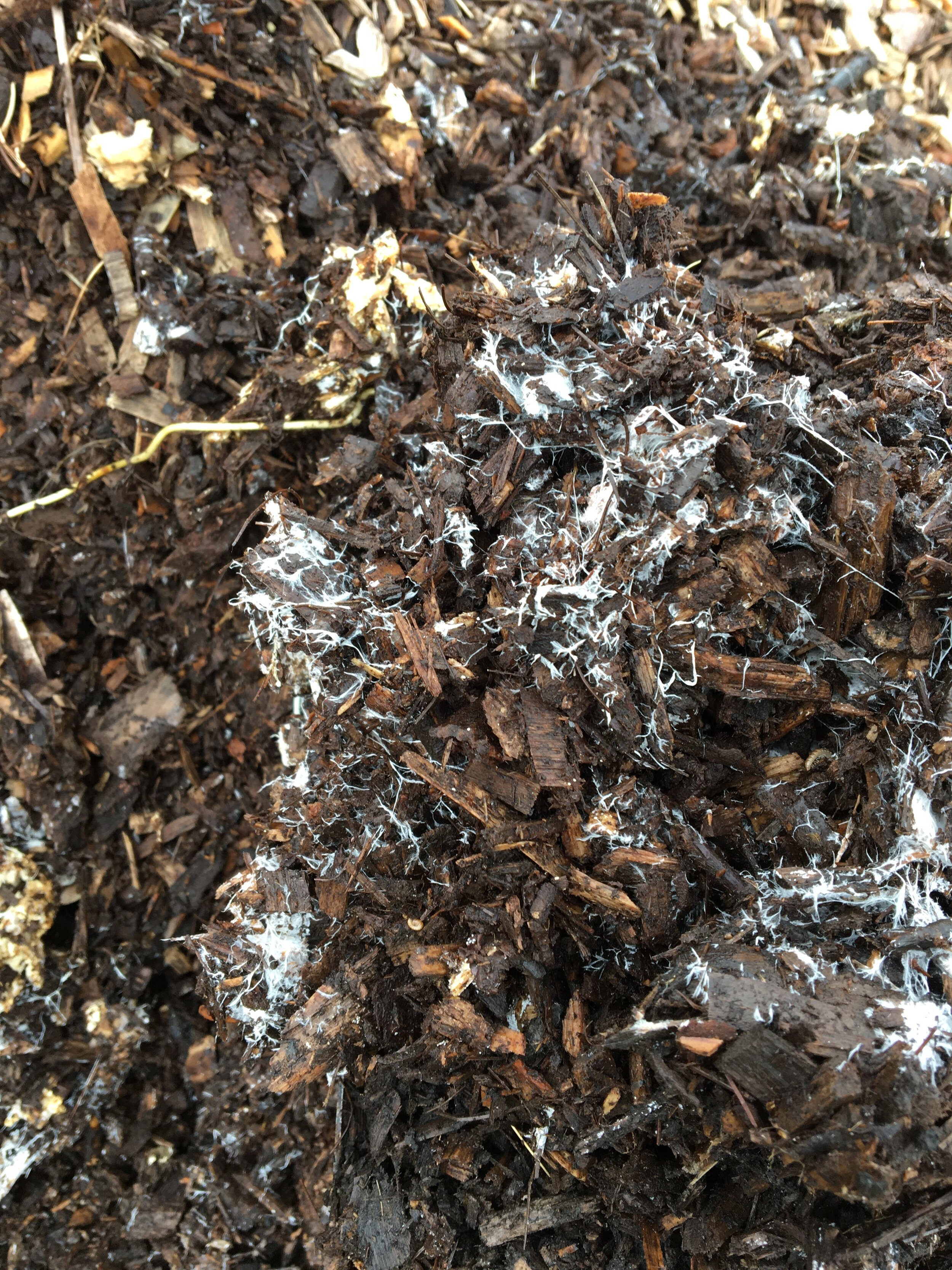 Grit, Minerals, and Humus