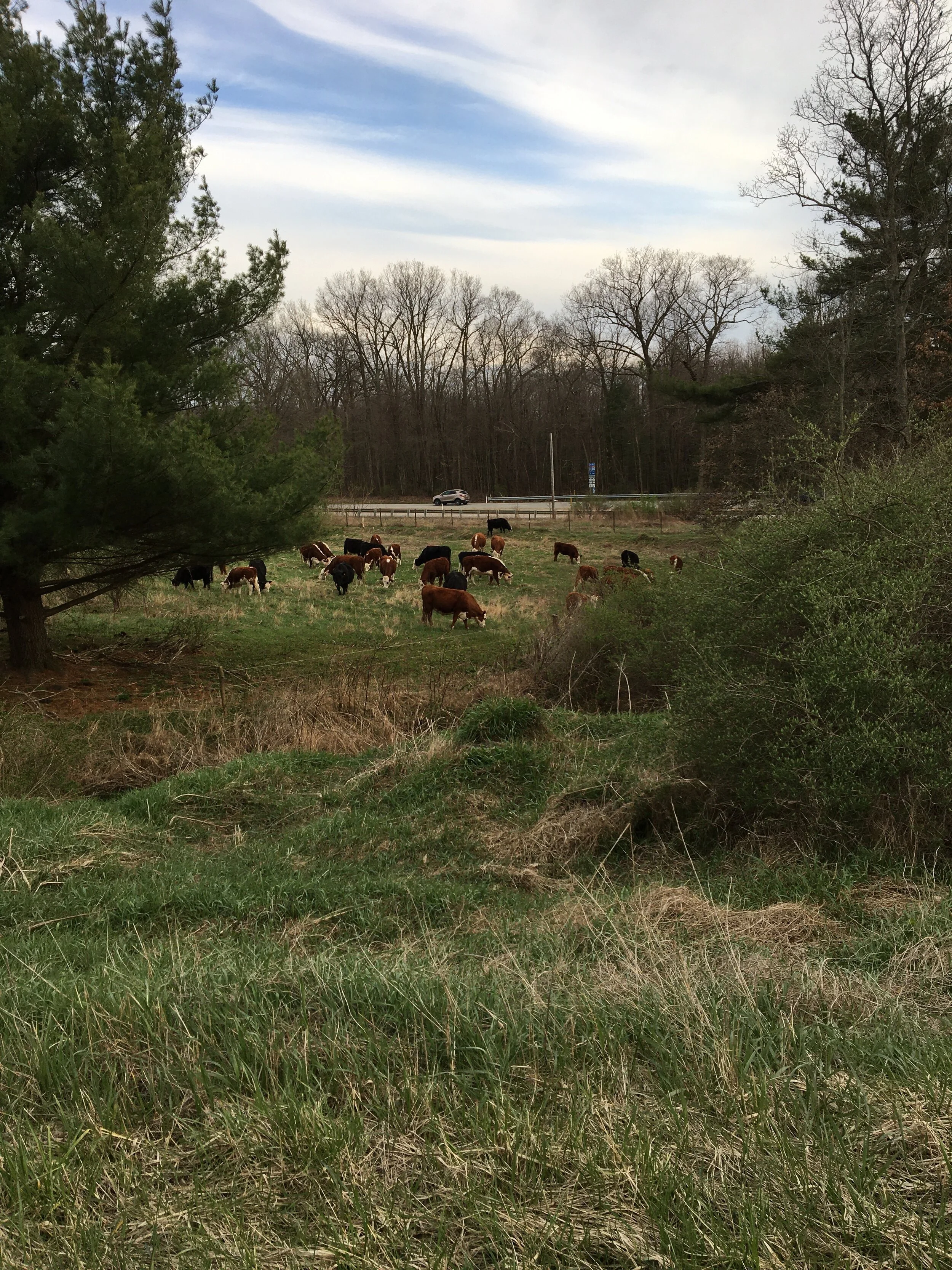 Earth Day and Hands-off Environmentalism