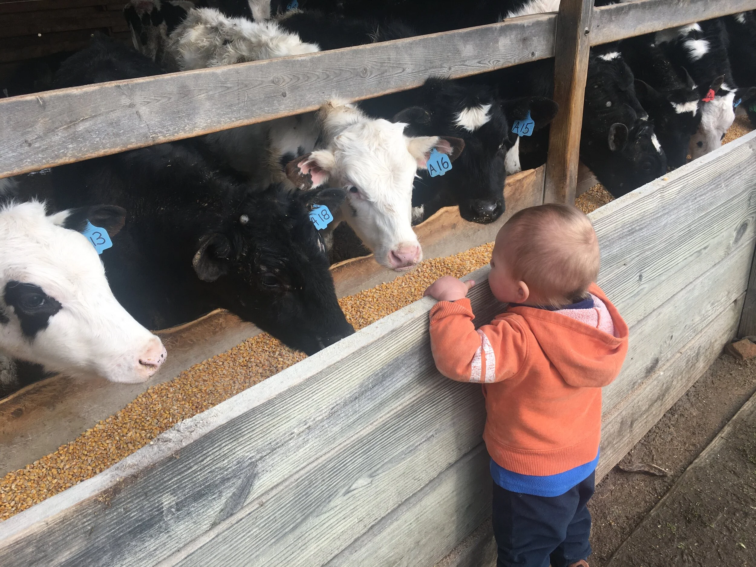 Here are the answers to your questions: