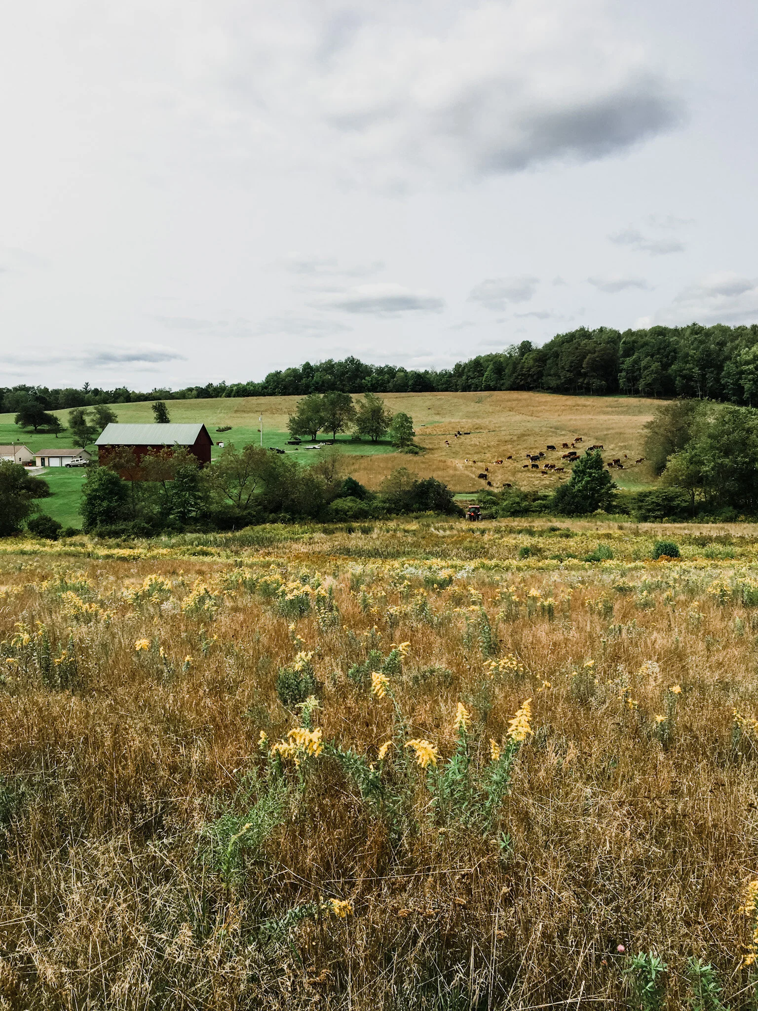 Leadership Misdirection (Don't be fooled.)