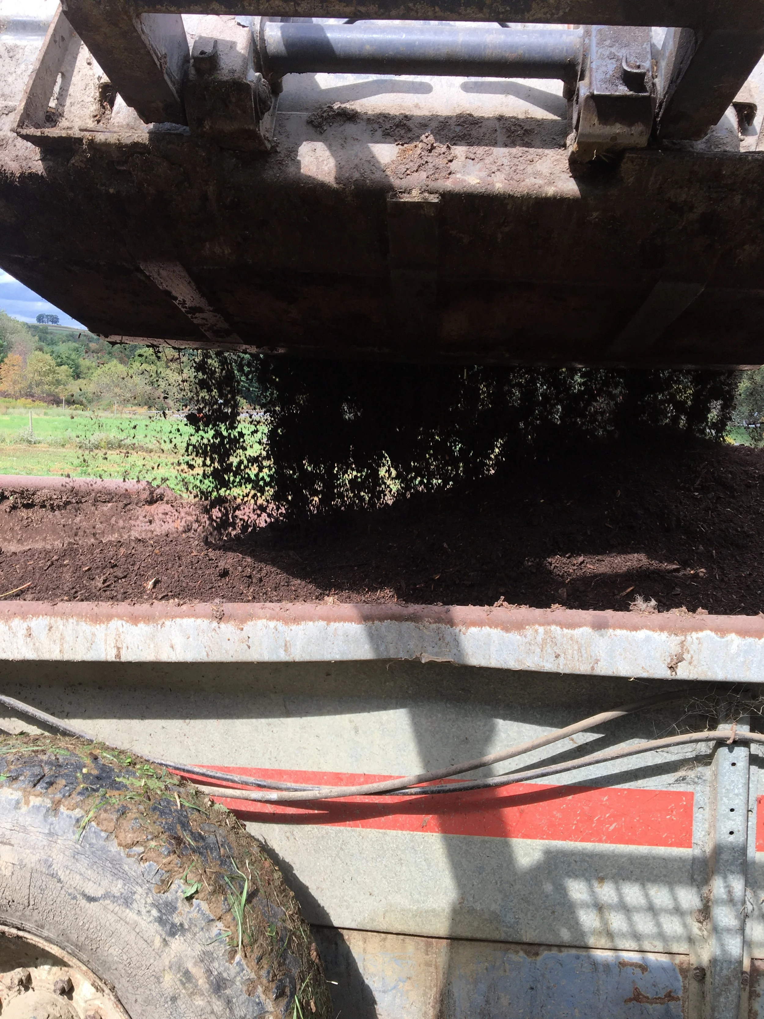 Can't Get Dirt