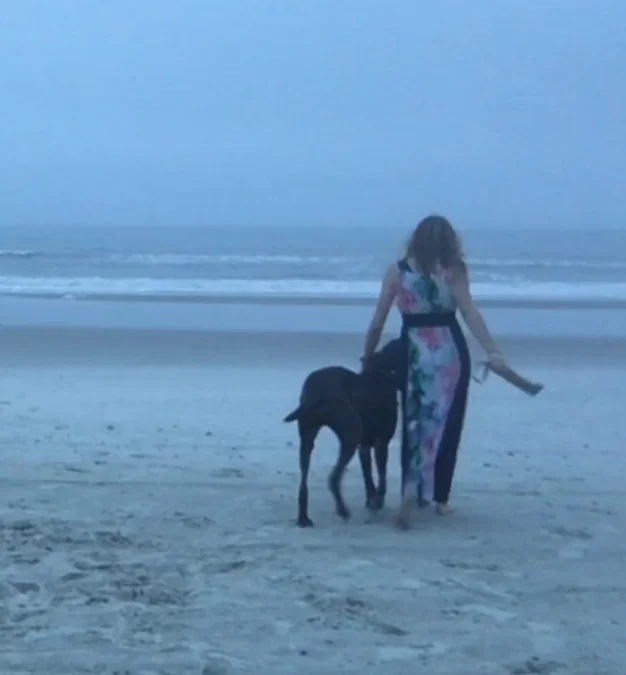 northeast dog training