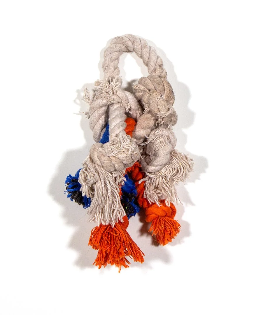 untitled, dog toys, 8 x 5.25 x 2.5 inches, 2025