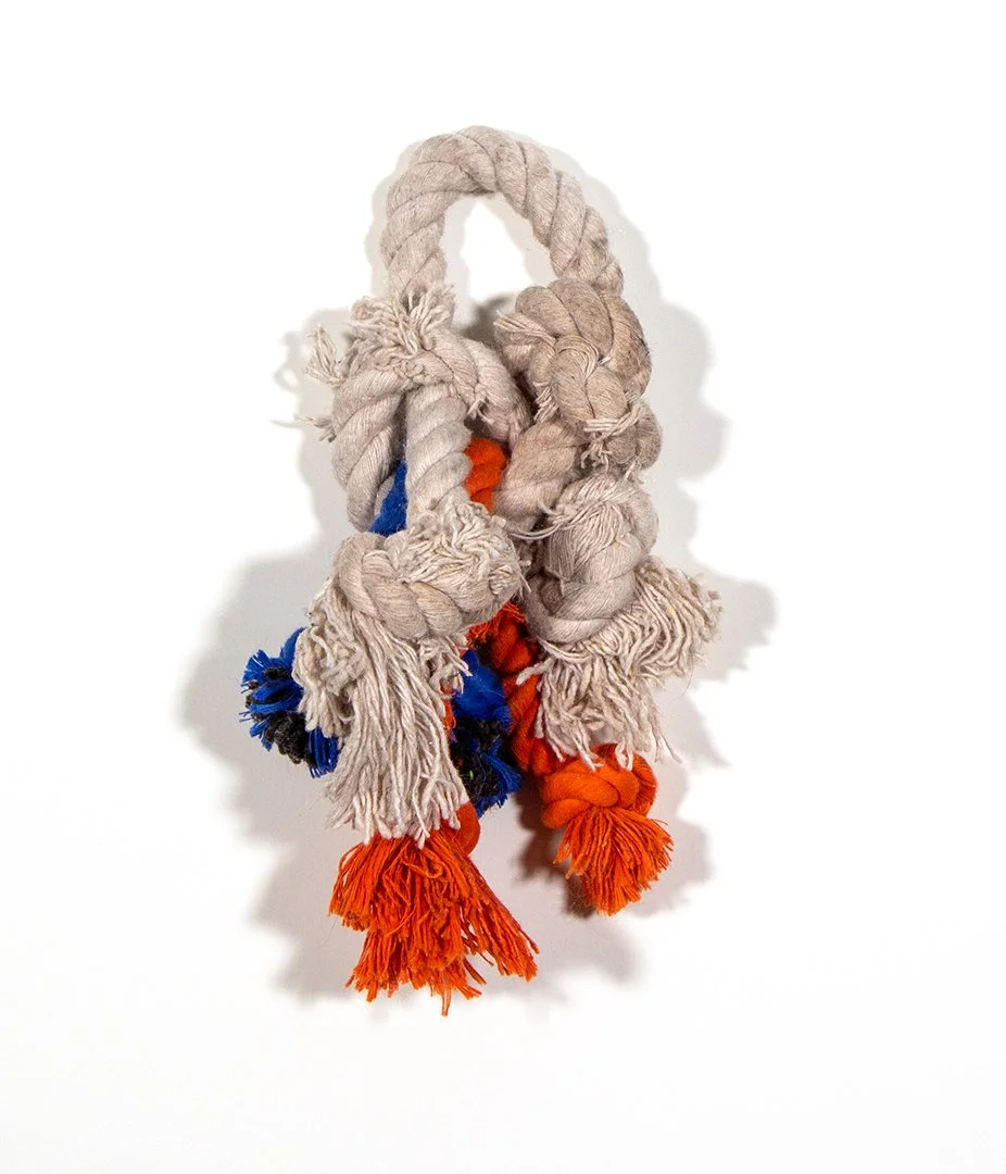 untitled, dog toys, dimensions variable, 2025