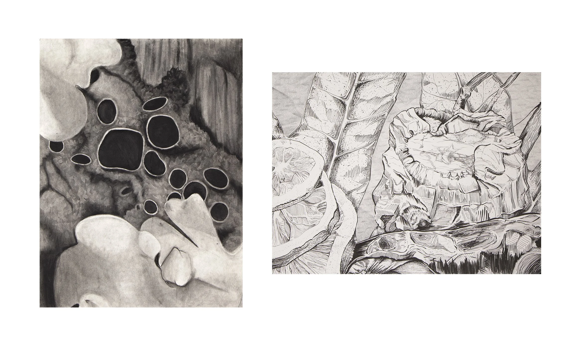 Assignment: Organic Abstraction