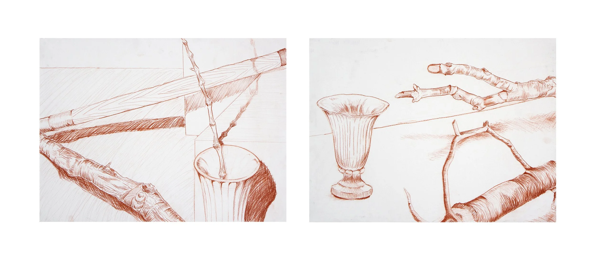 Assignment: Drawing Ellipses