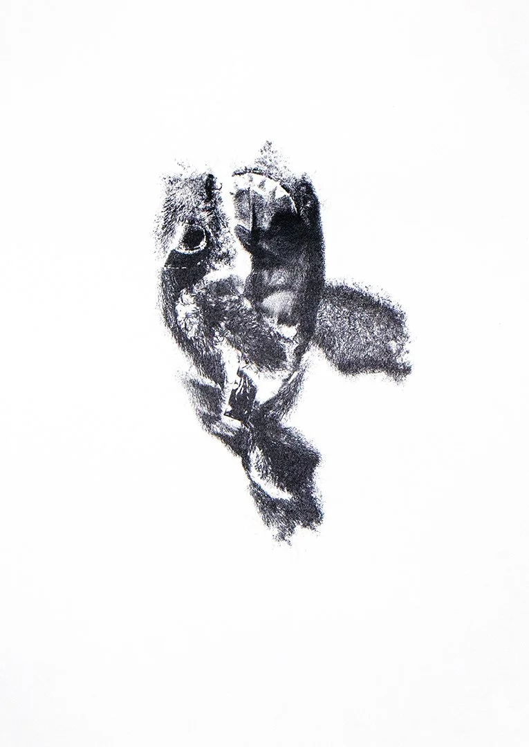 fish, monoprint, 18 x 12.75 inches, 2025