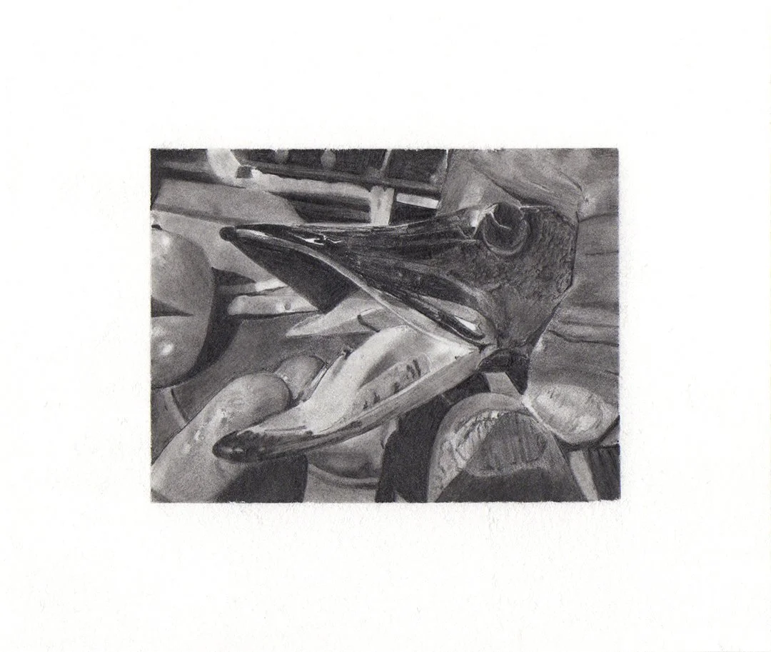 jackfish in my father's hands too, graphite on paper, 5.5 x 6.5 inches, 2020