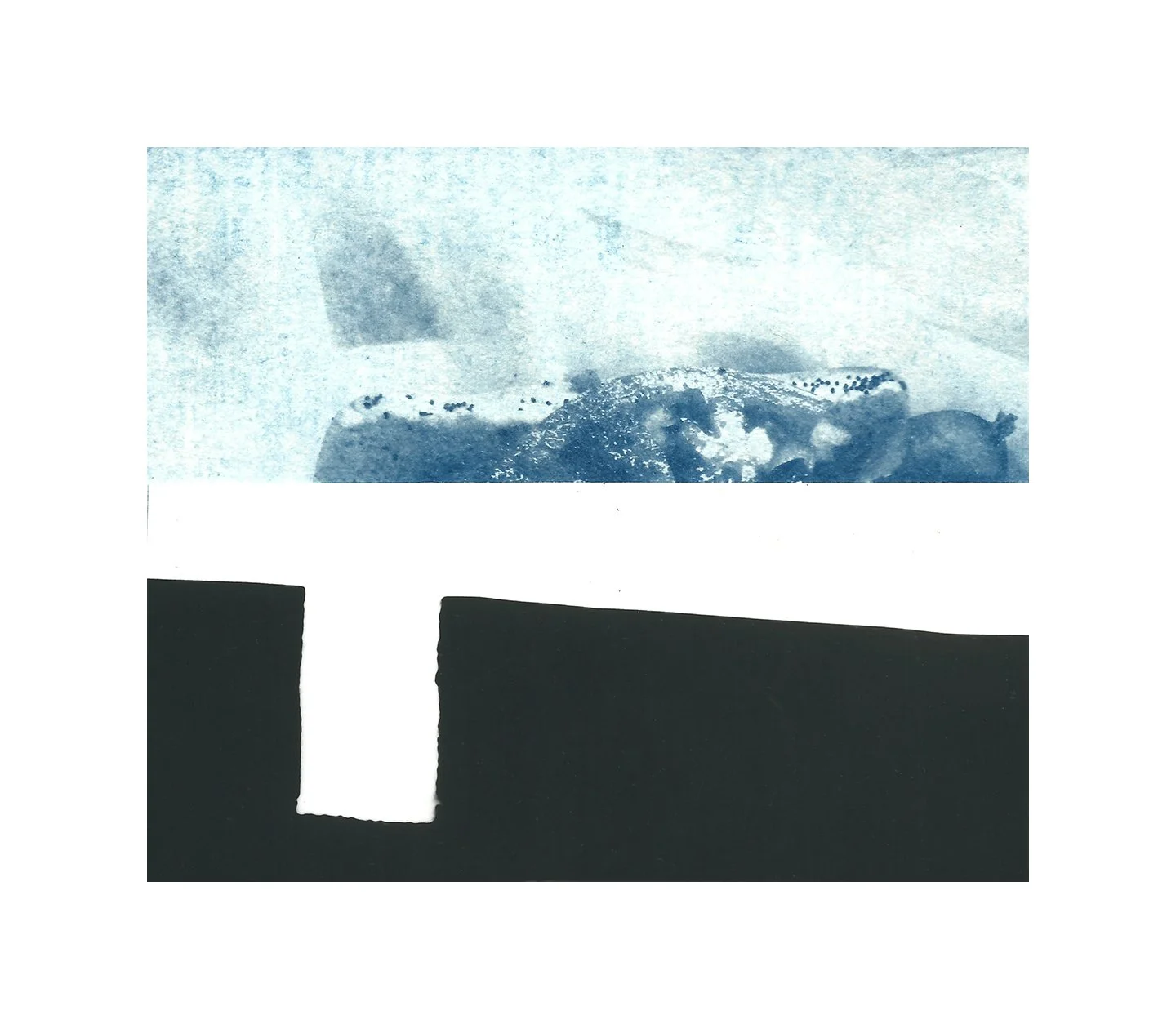 hot dog too, photogram on cyanotype, 4 x 5 inches, 2026