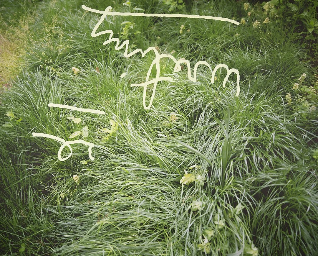 Excuse Writing, acrylic on pigment inkjet print, 30 x 37.5 inches, 2018