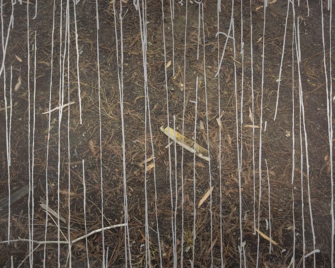 Combed, acrylic on pigment inkjet print, 40 x 50 inches, 2018