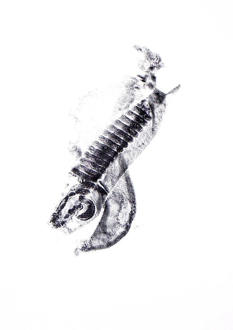 untitled, monoprint, 18 x 12.75 inches, 2025