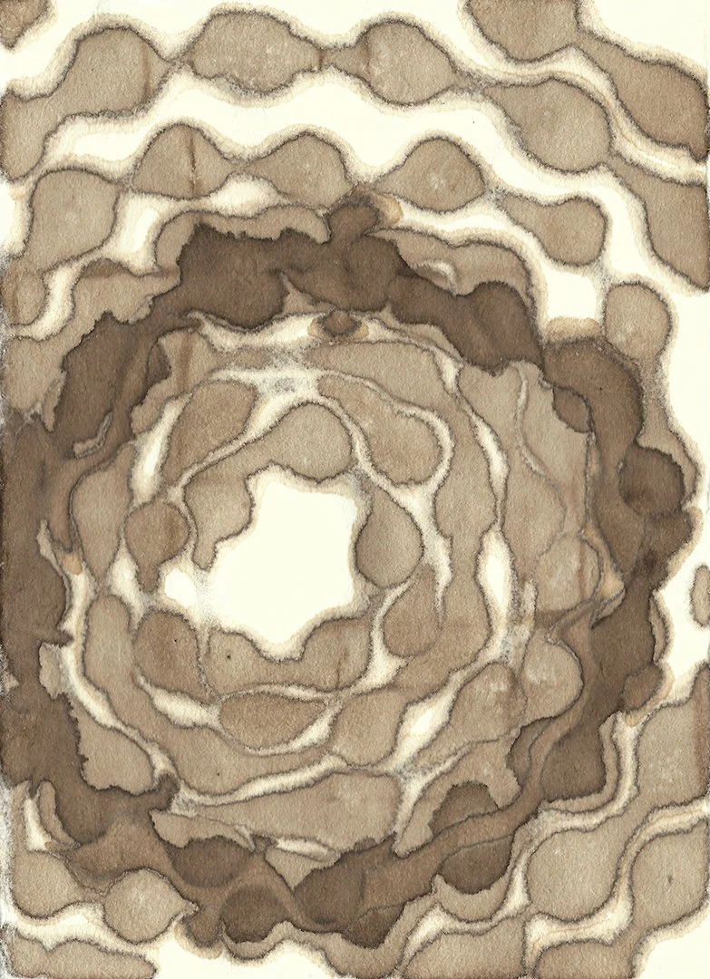 remembering accardo tackle #81, walnut ink on paper, 6 x 4.5 inches, 2024