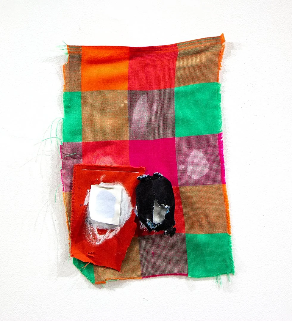 untitled, dog toy, acrylic, thread and collage on fabric, 18 x 12 x 2 inches, 2025