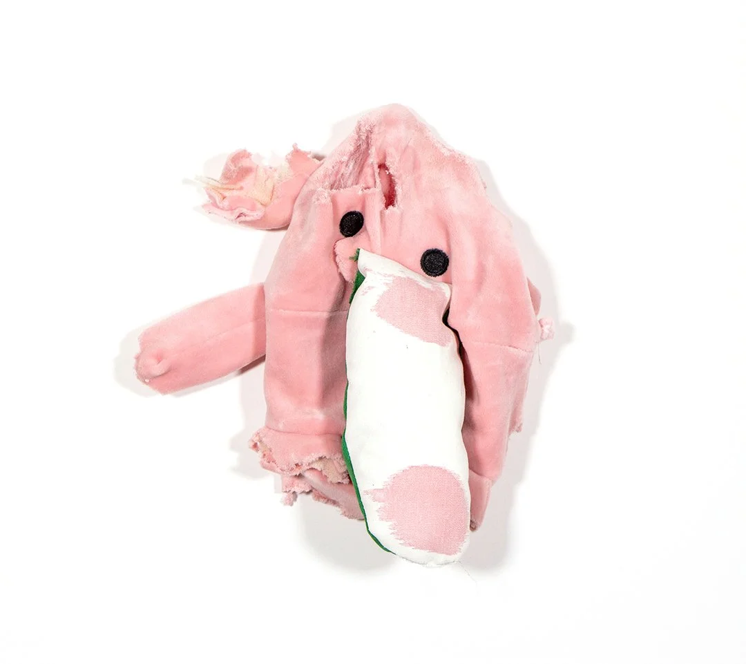 pig, dog toy, fabric, thread, acrylic paint, and polyester fiberfill, dimensions variable, 2025