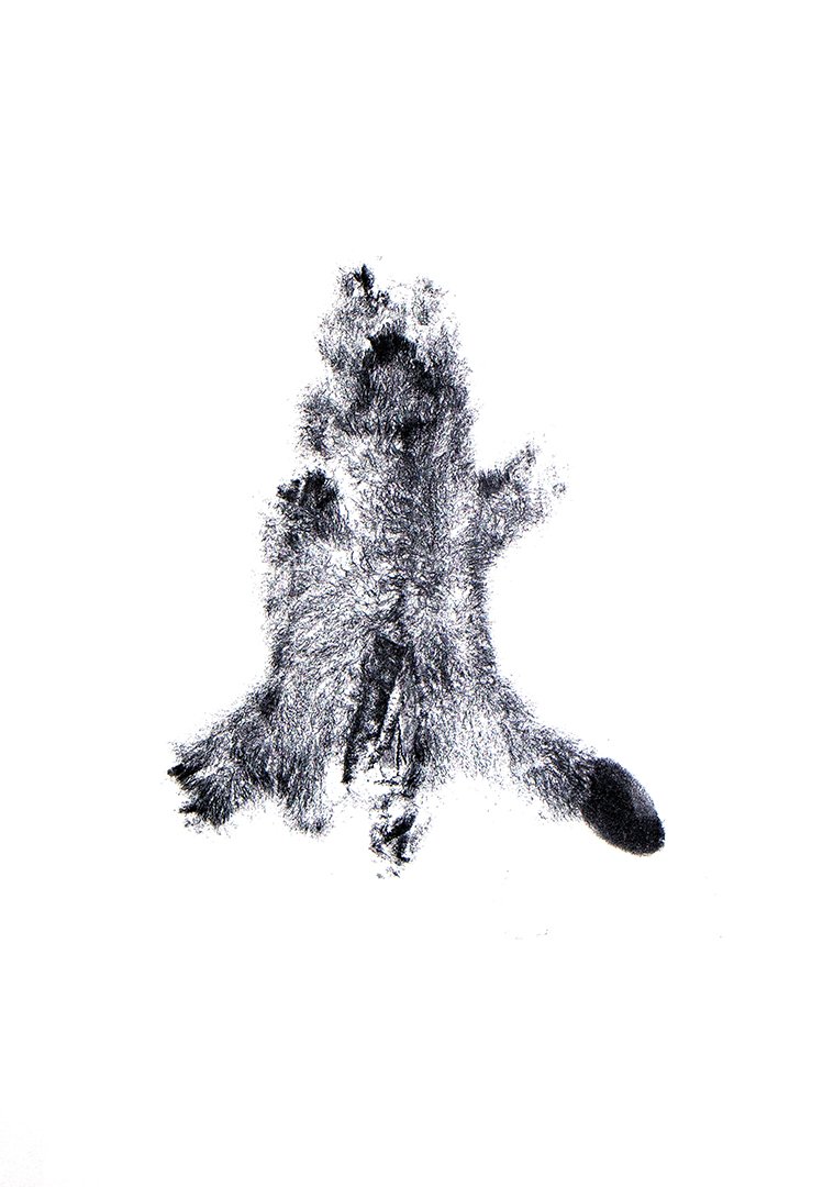 untitled, monoprint, 25 x 17.75 inches, 2025