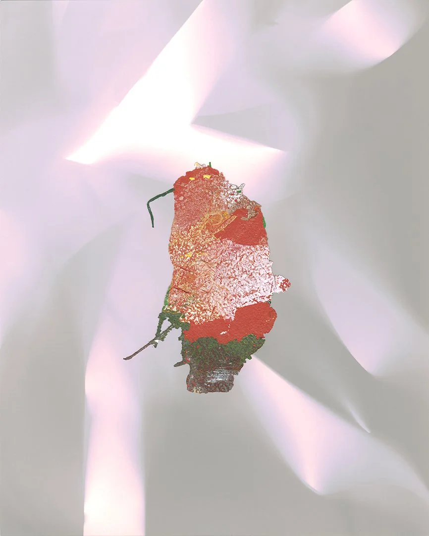 Skin Bow, enamel on silver gelatin print, 10 x 8 inches, 2018