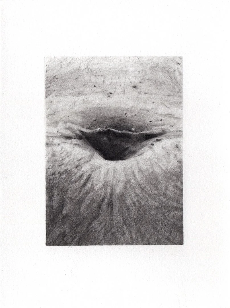 keeping it in, graphite on paper, 7.5 x 5.5 inches, 2020