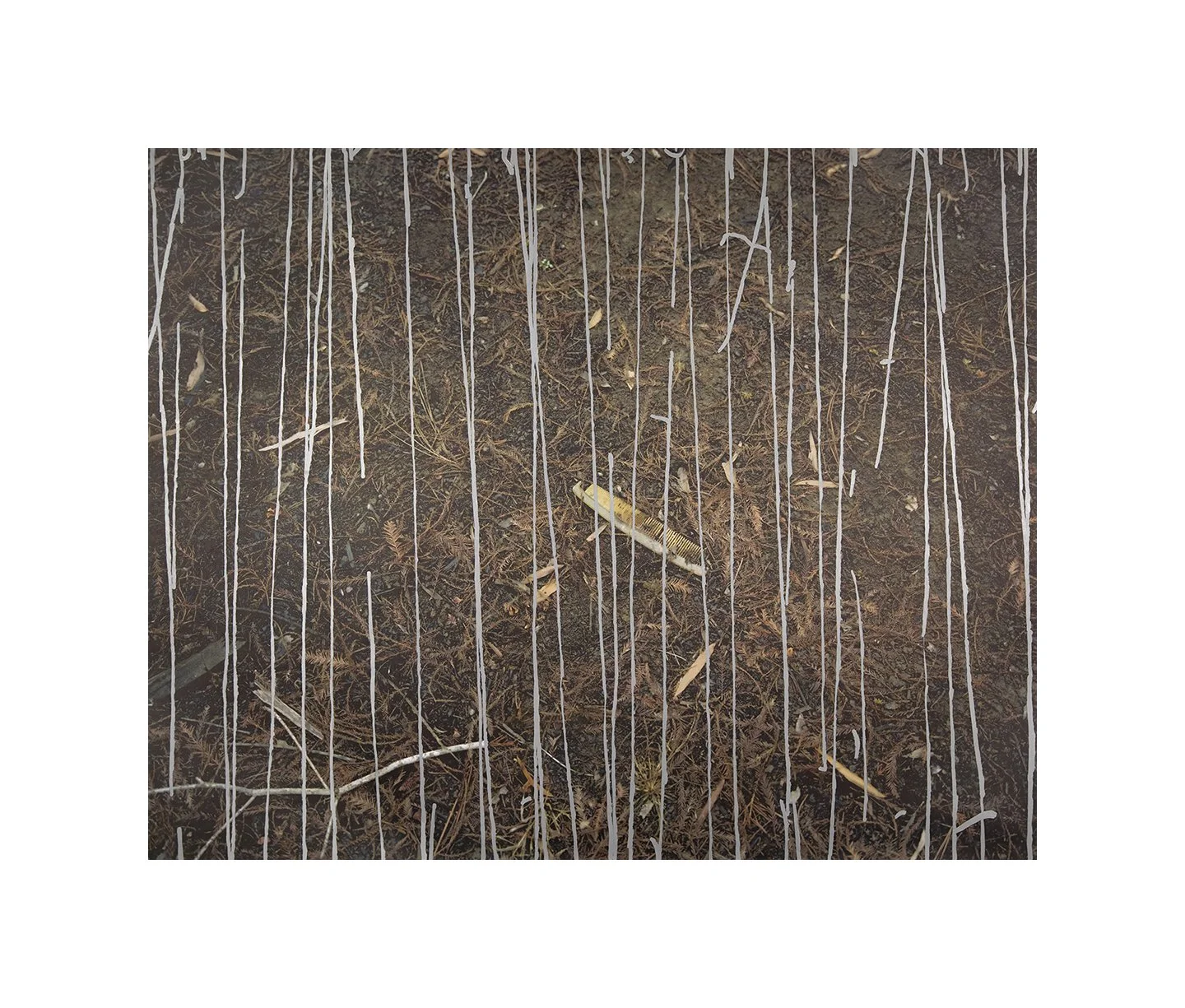 Combed, acrylic on pigment inkjet print, 40 x 50 inches, 2018