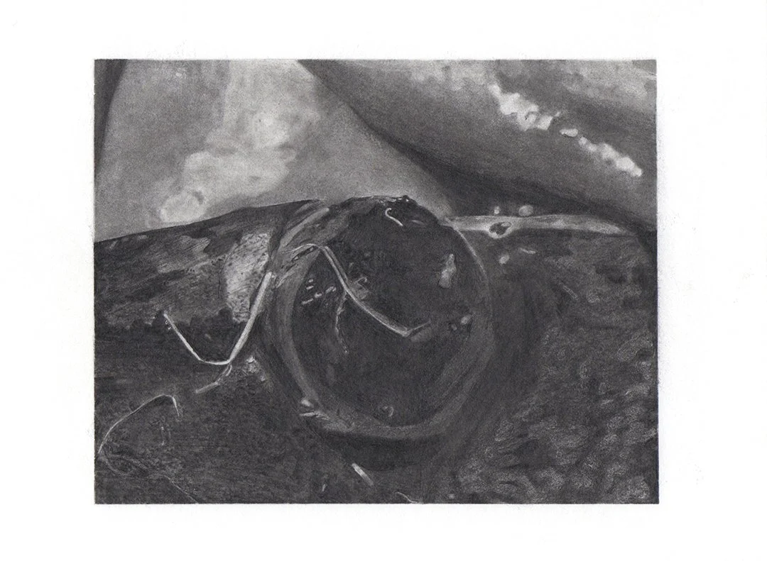 jackfish in my father's hands, graphite on paper, 5.5 x 7.5 inches, 2020