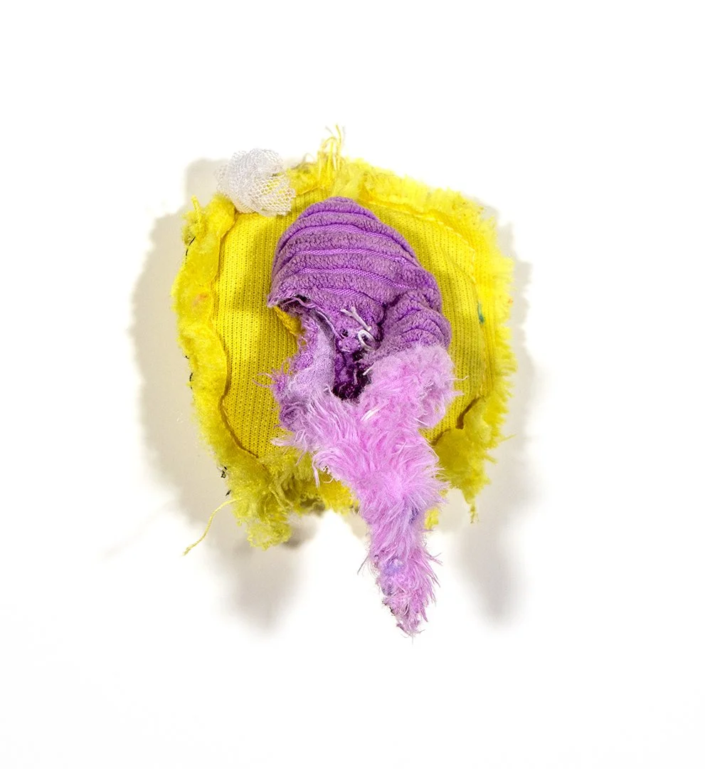 untitled, dog toys, 6.5 x 3.5 x 2 inches, 2025