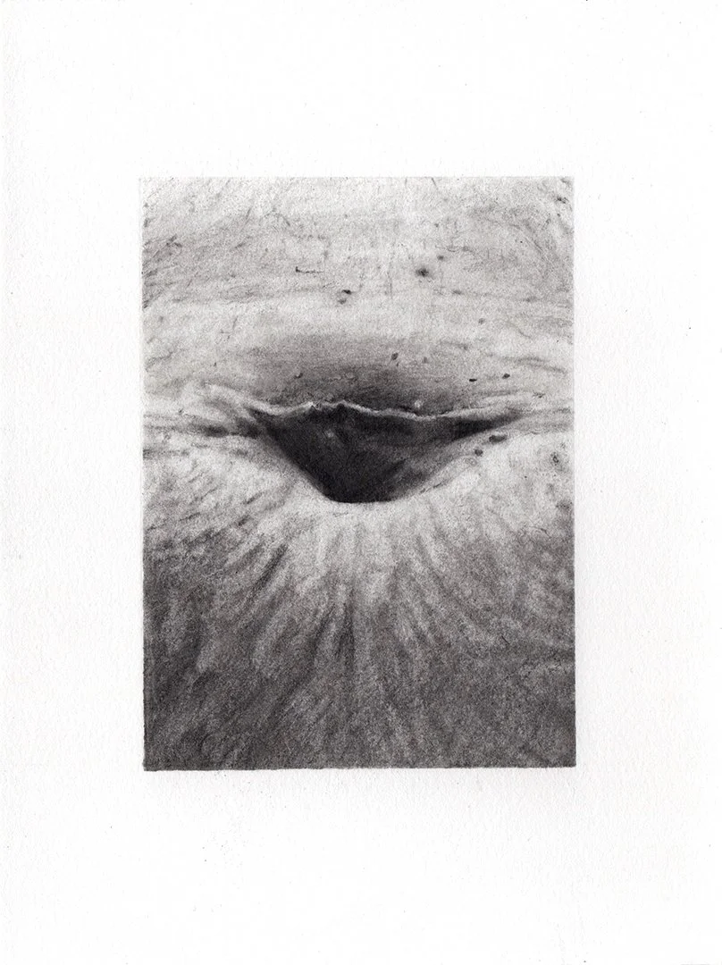 keeping it in, graphite on paper, 7.5 x 5.5 inches, 2020