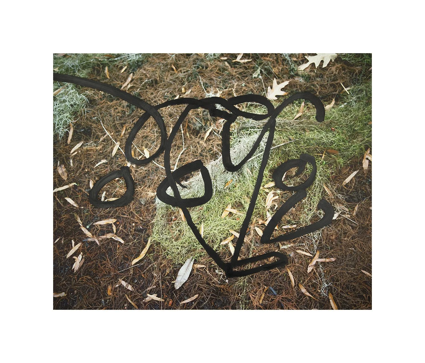 OO, acrylic on pigment inkjet print, 30 x 37.5 inches, 2018