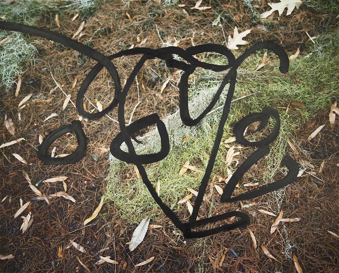 OO, acrylic on pigment inkjet print, 30 x 37.5 inches, 2018