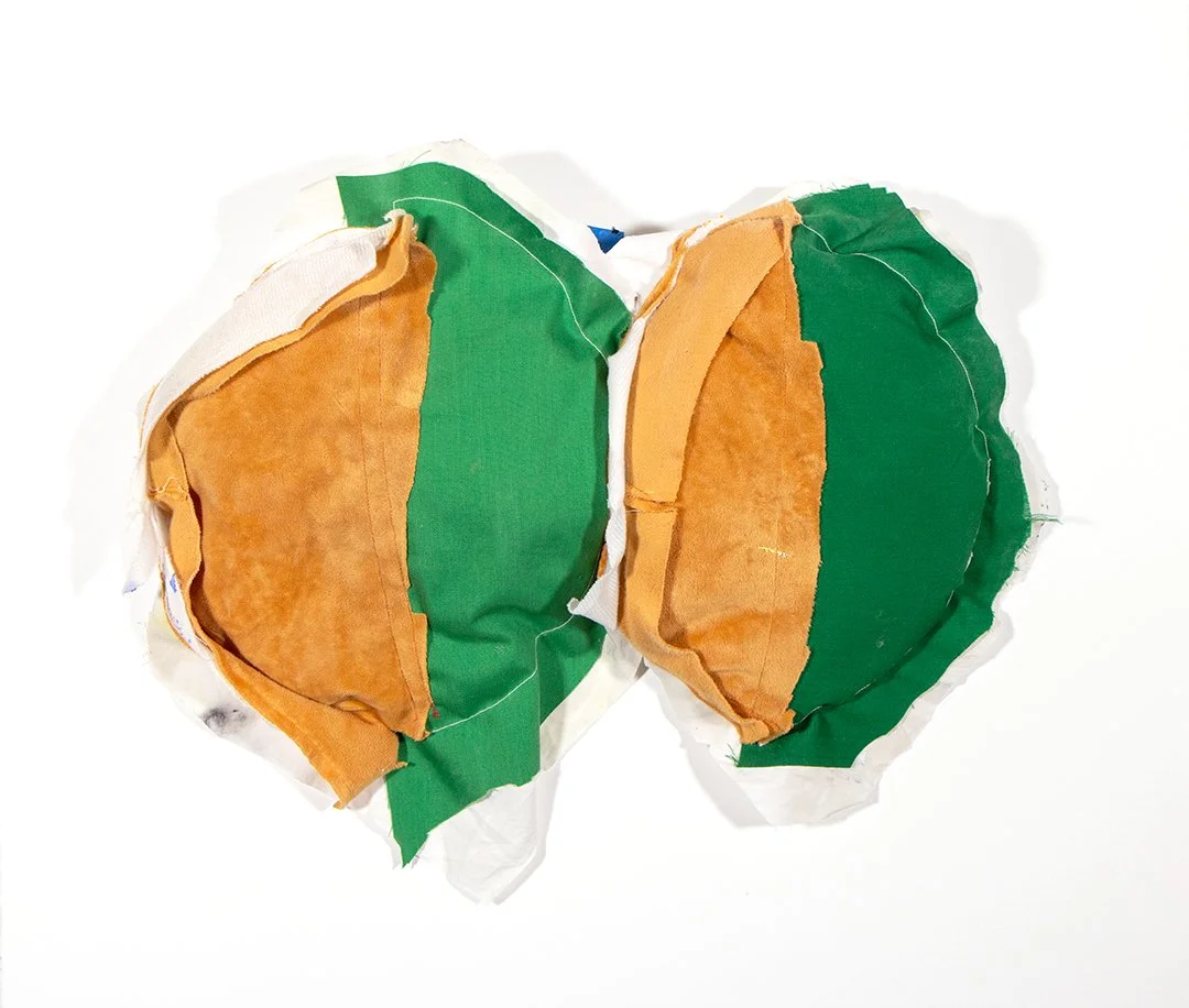 two half pizzas, dog toy, fabric, thread, acrylic paint, and polyester fiberfill, dimensions variable, 2025