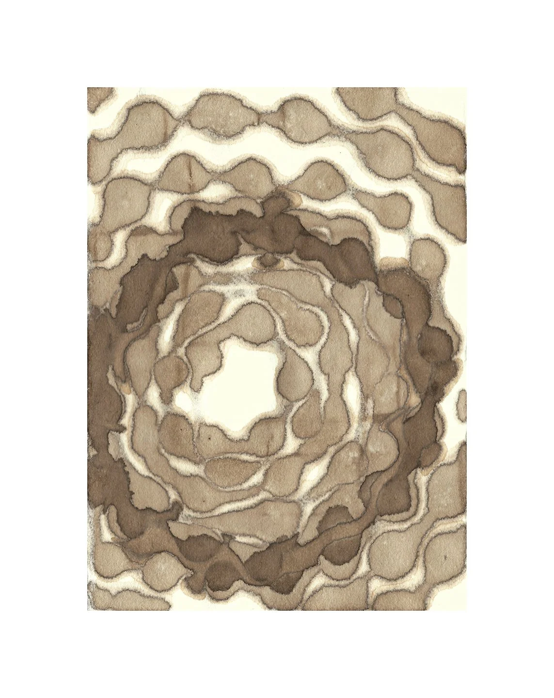 remembering accardo tackle #81, walnut ink on paper, 6 x 4.5 inches, 2024
