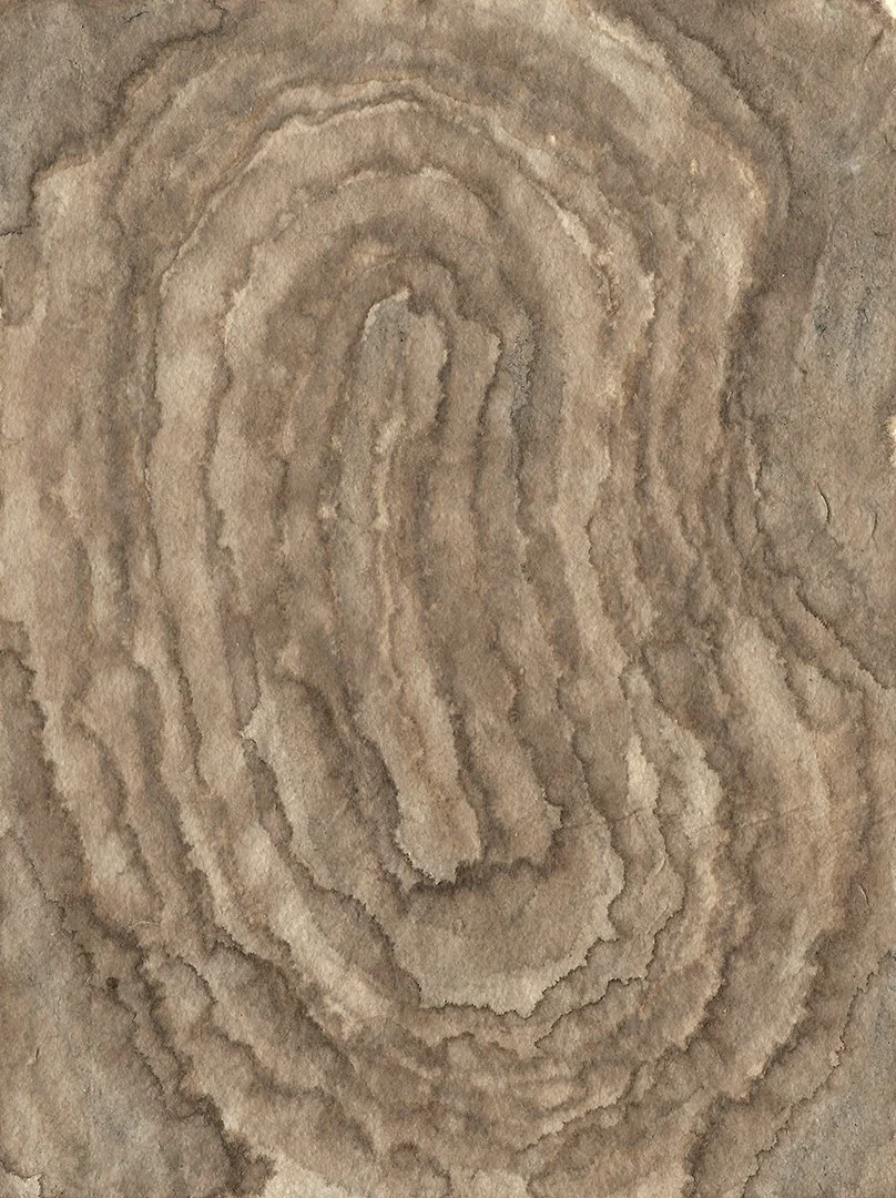 remembering accardo tackle #103, Sumi and walnut ink on paper, 6 x 4.5 inches, 2026