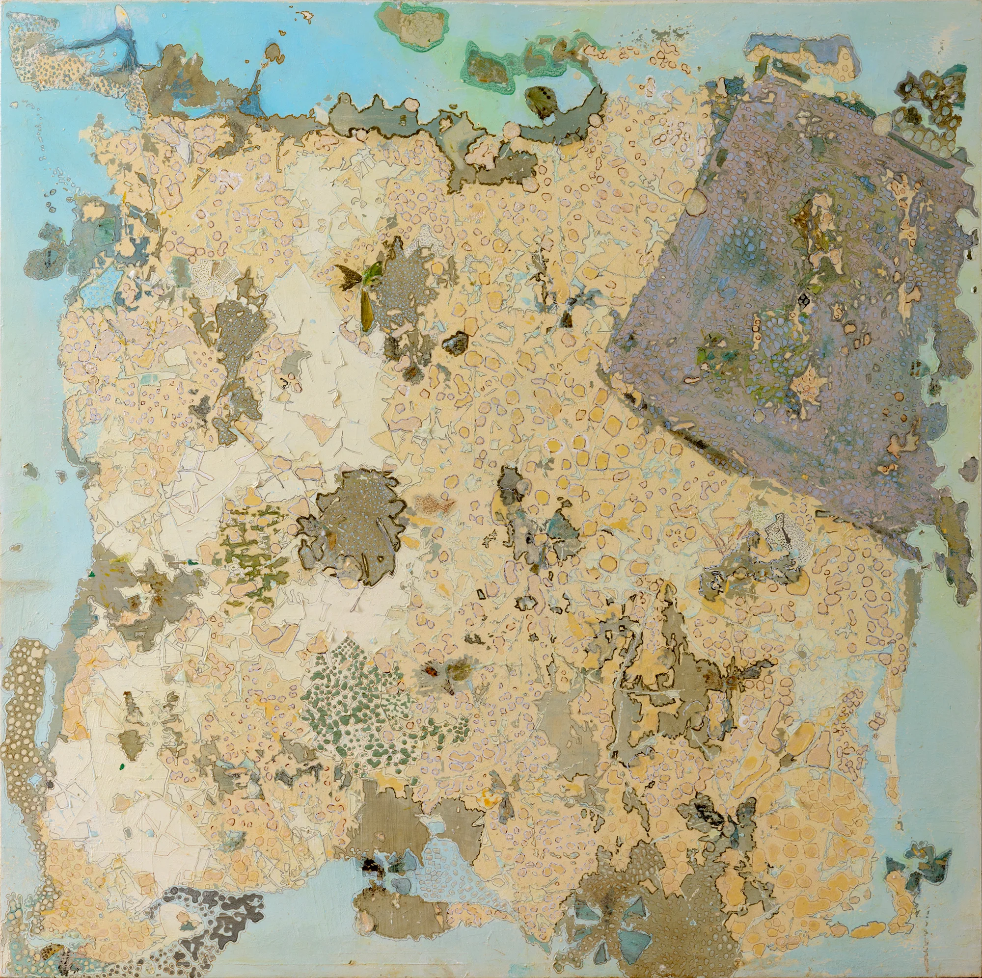 Untitled 8 (The White Elephant in the Room)