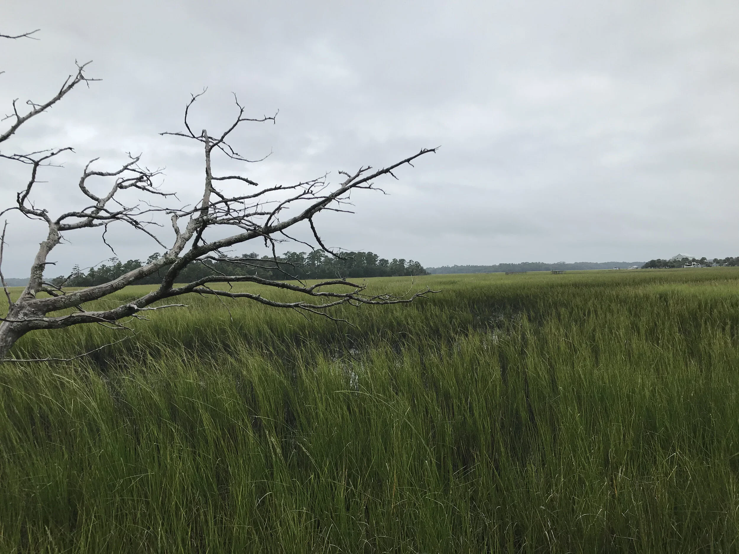 Straight Outta Edisto