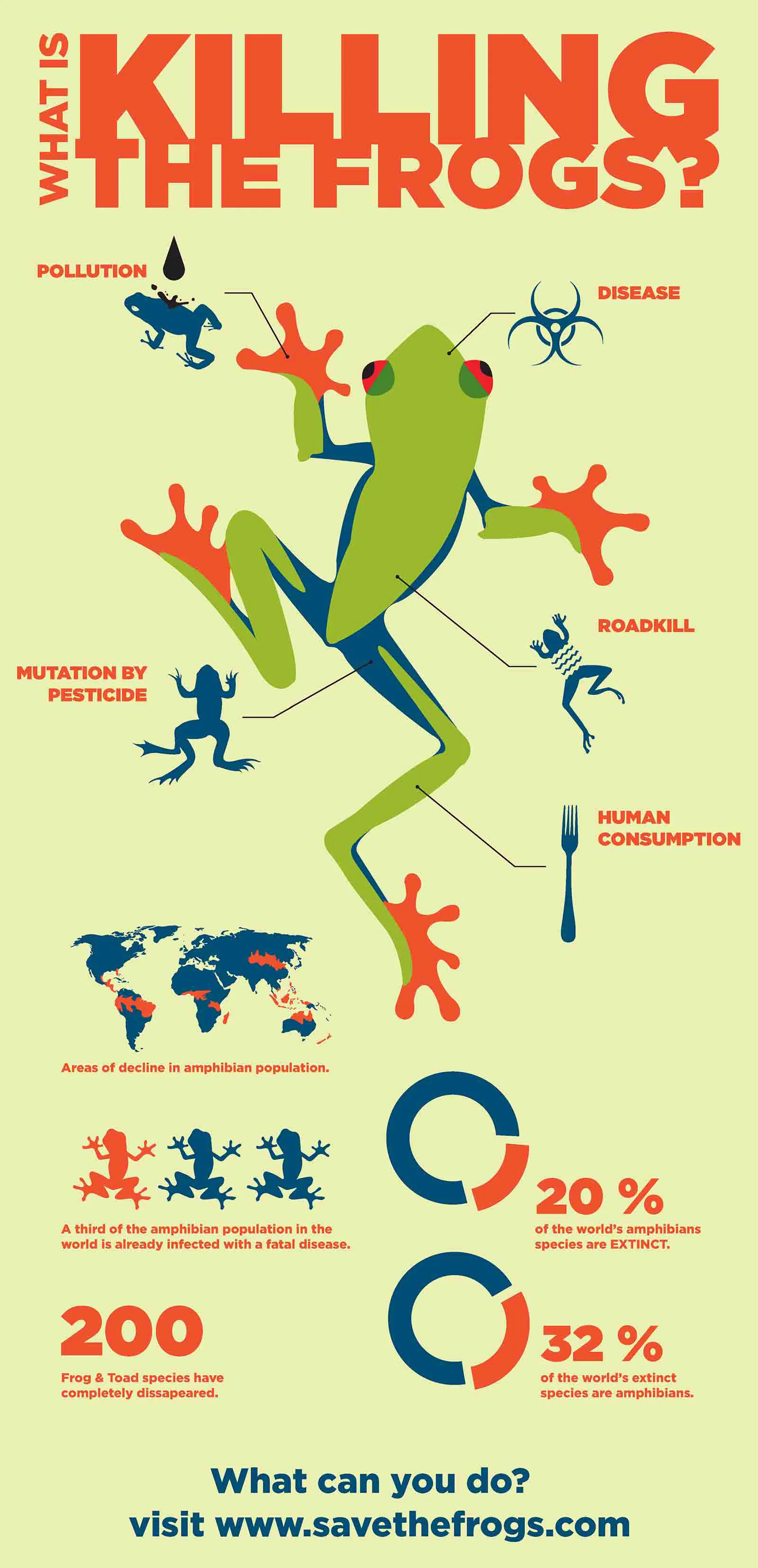 Frog Infographic.jpg