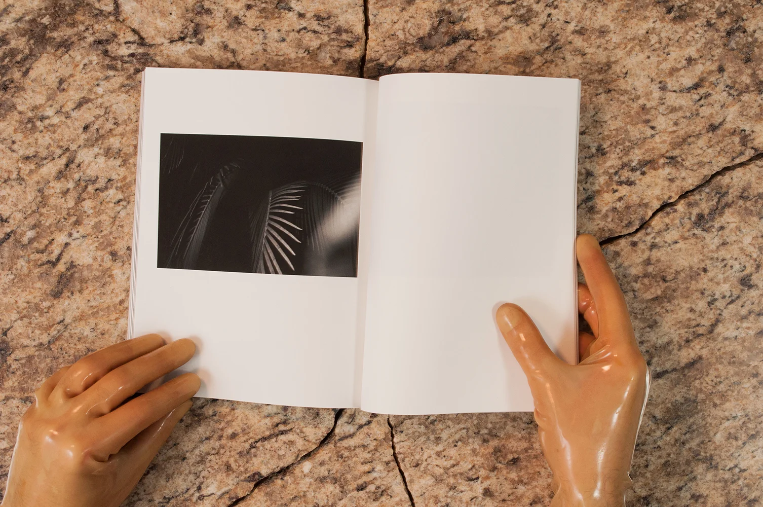 Residing in a space between zine and book, a photographic collaboration between Justin Coakley Hunt and Scott Ener Grover is presented in physical form. 
