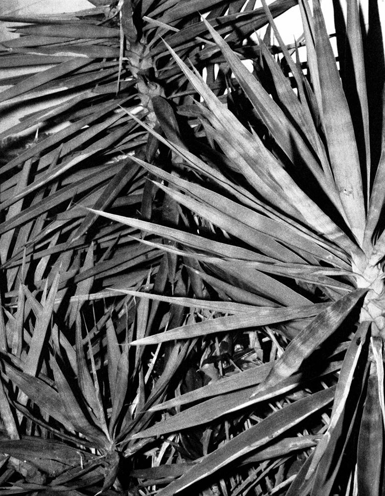 Residing in a space between zine and book, a photographic collaboration between Justin Coakley Hunt and Scott Ener Grover is presented in physical form. 