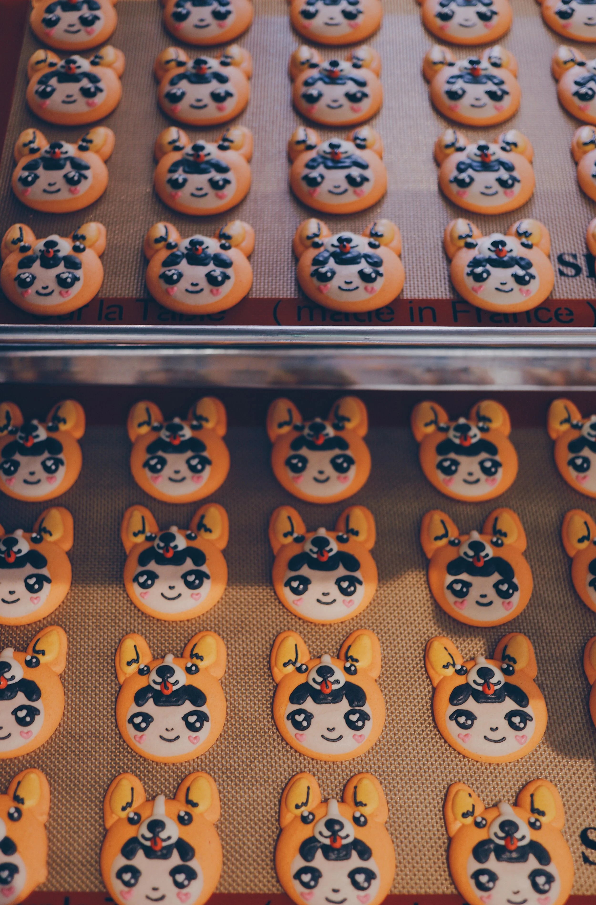 CorgiGirlMacarons.JPG
