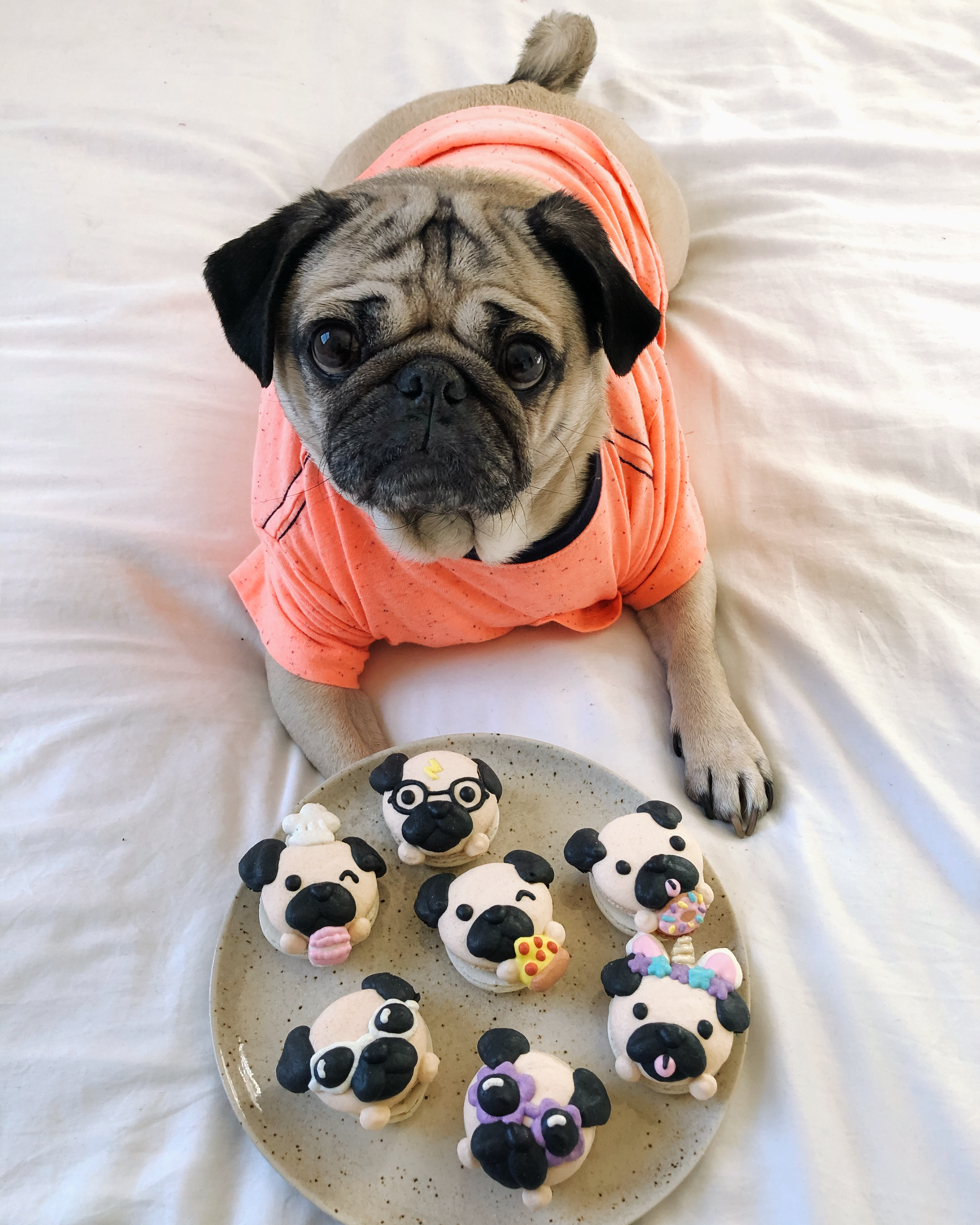 DougwithMacarons2.png