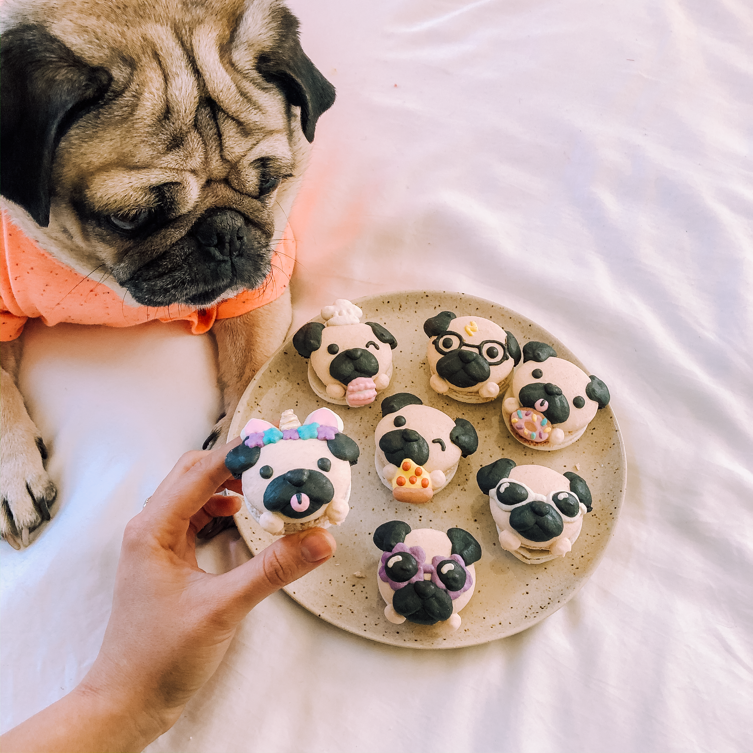 DougwithMacarons3.png
