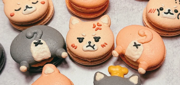 Honey & Butter Macarons