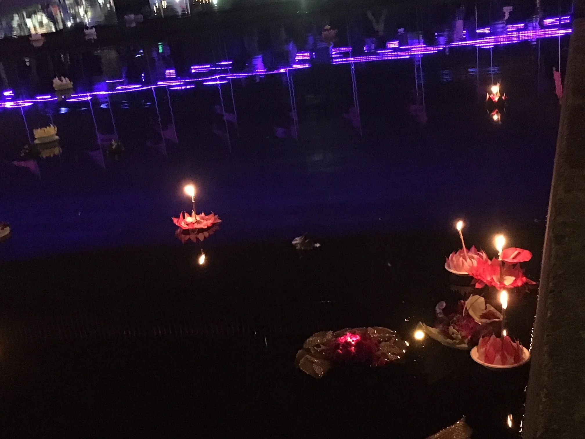 Kratong (floating lanterns) on the Parramatta river carrying people’s prayers and best wishes.