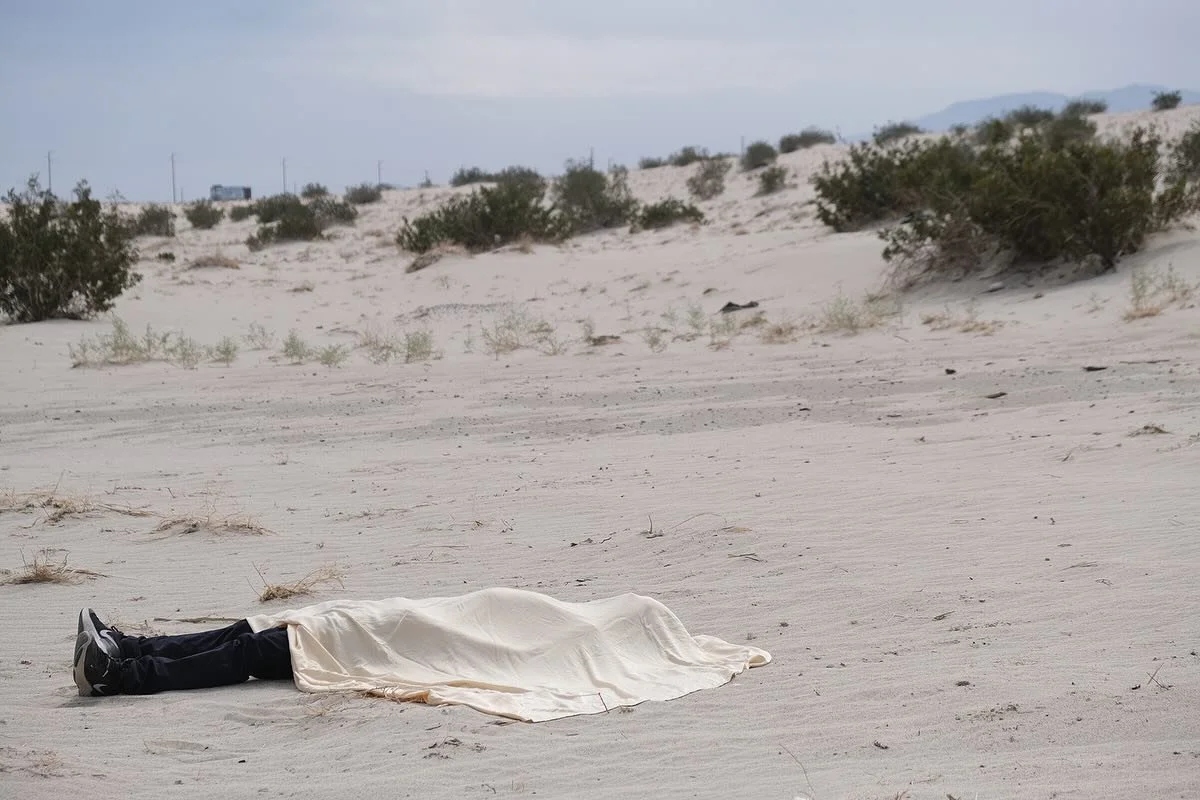 💤 🦋 / 📸 @pink_bill_dings