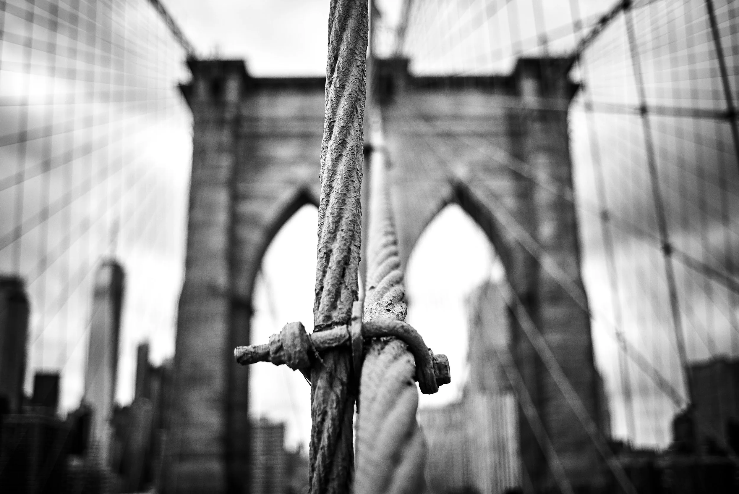 L1008715BW.jpg