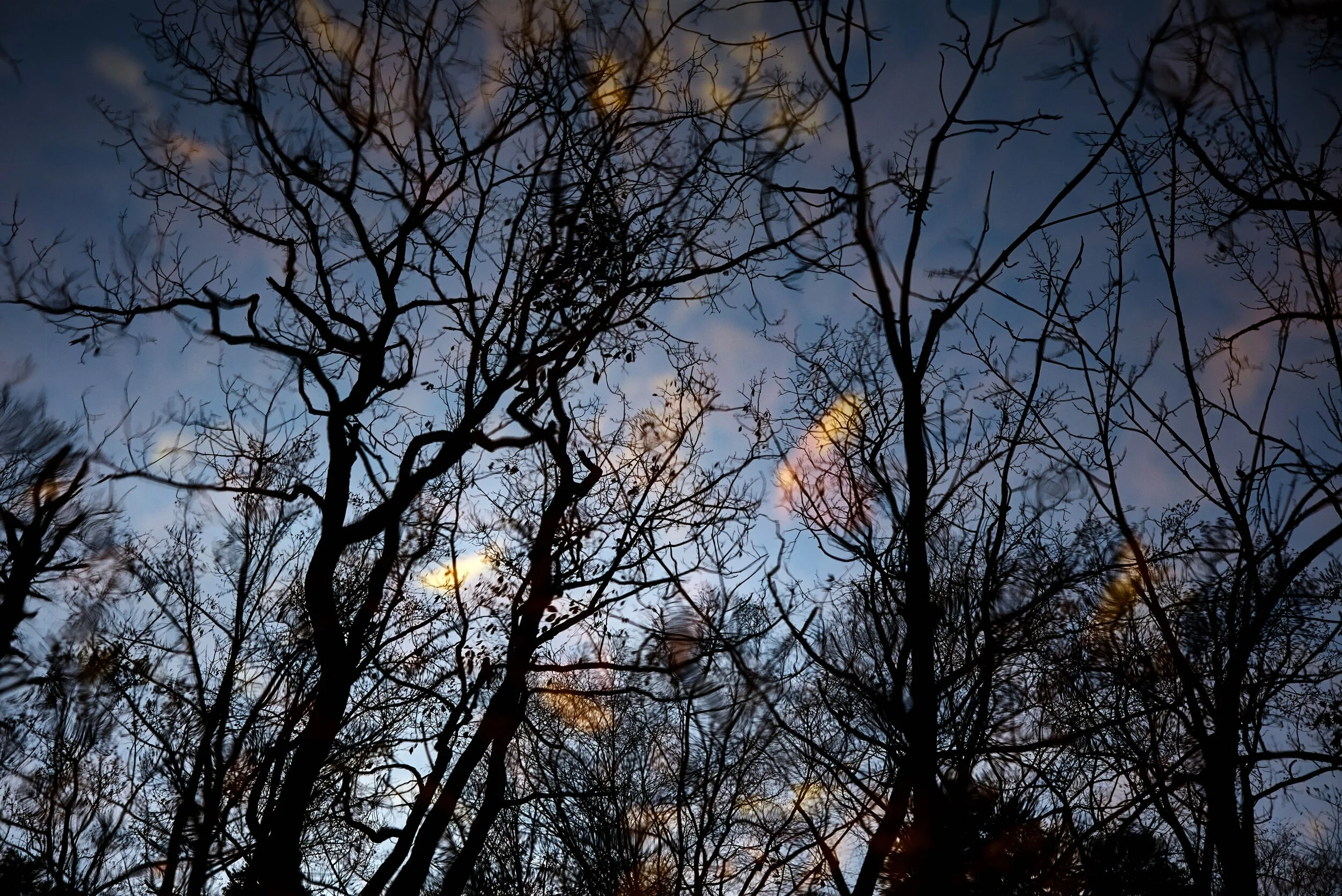 L1002015.jpg