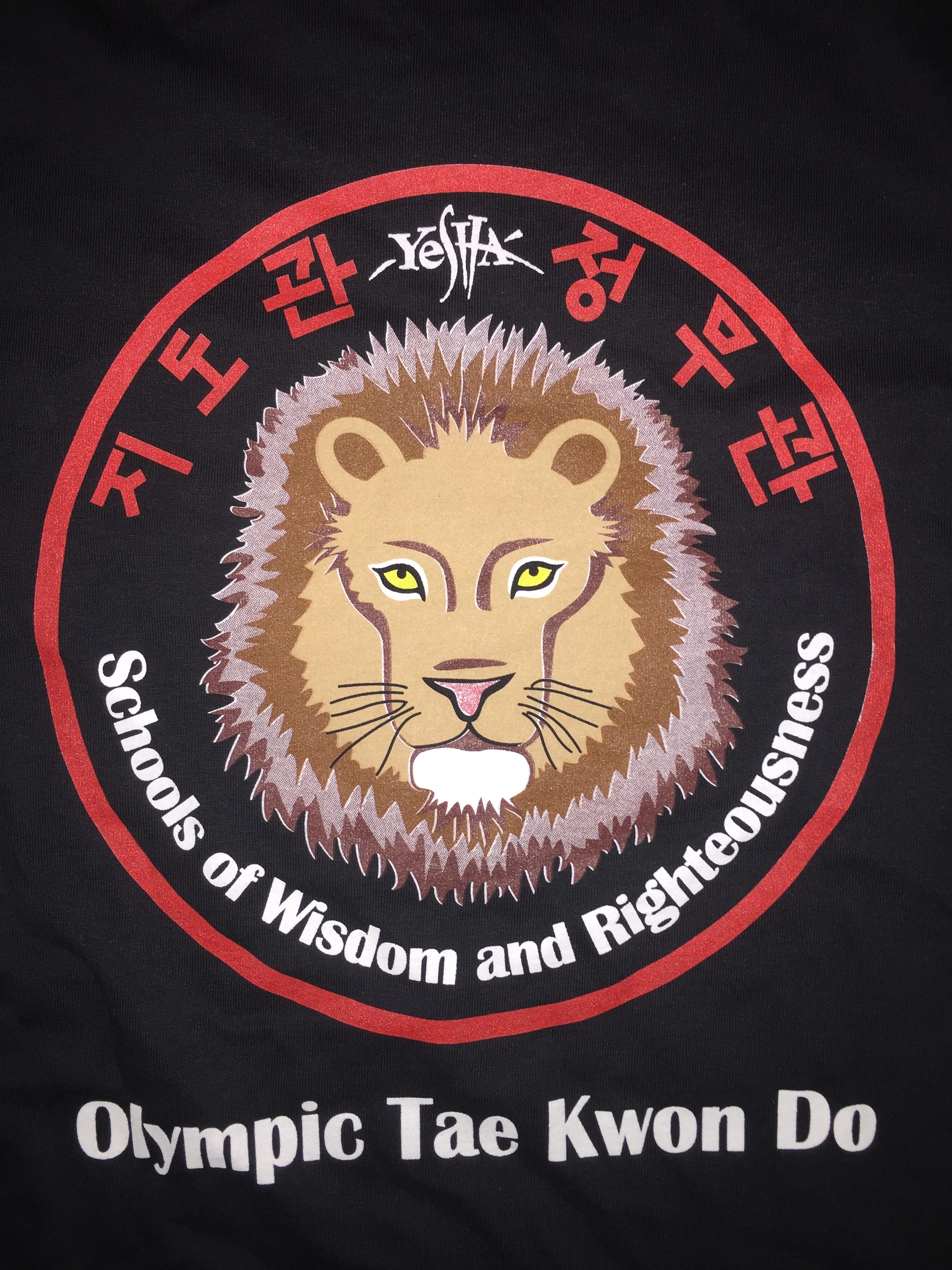 Yeshá-Lion T-shirt