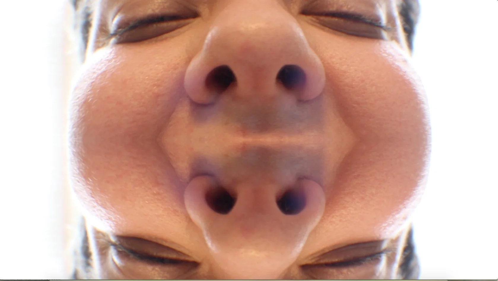  still from  genogram , 2015 