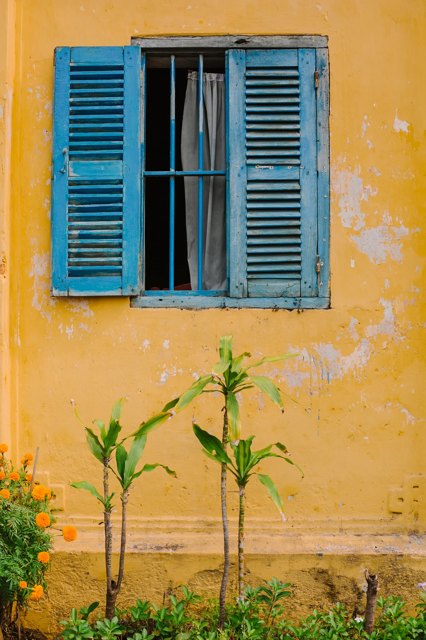 ODS_Vietnam_2015_JacquieManning-246.jpg