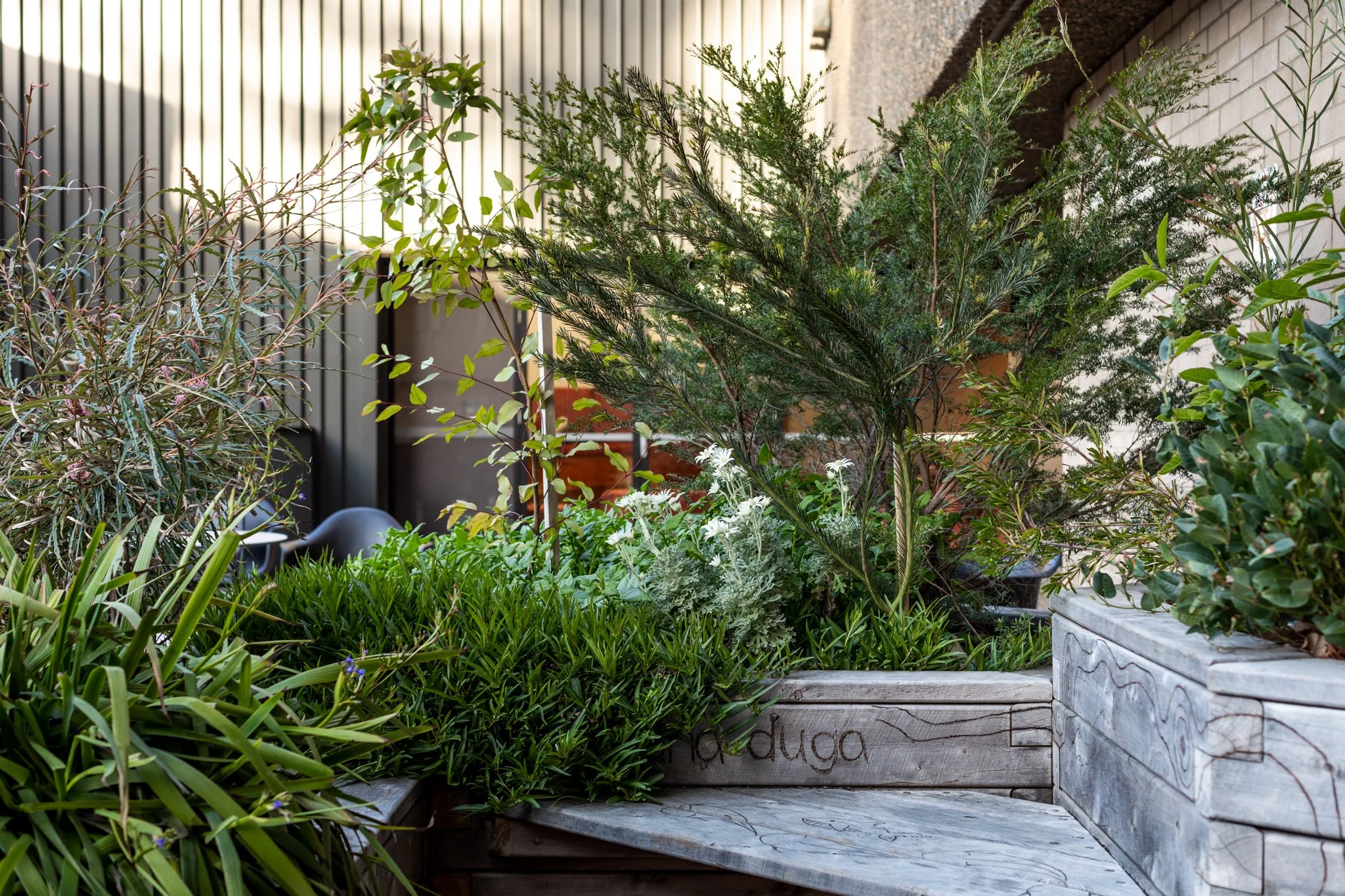 UTS_JumbunnaGarden_010919_credit_JacquieManning-18.jpg