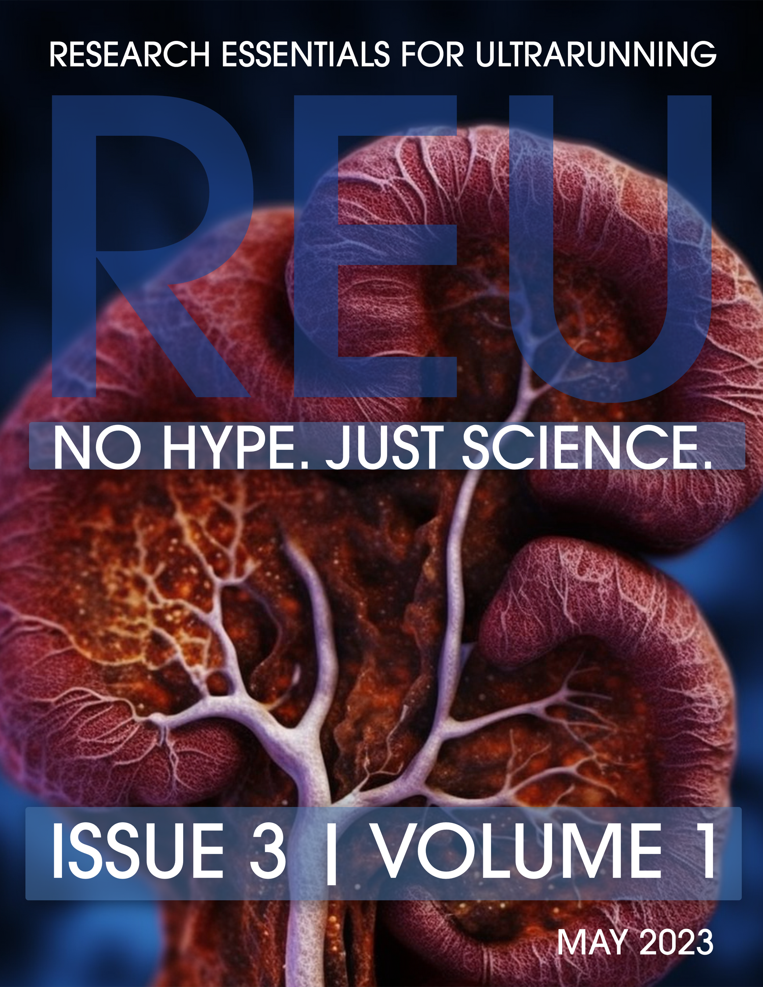 REU-Cover---Issue-3_v1.png