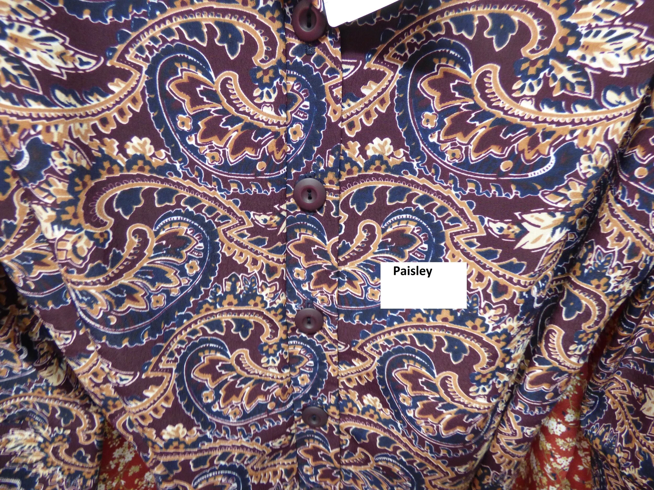 Paisley Dress.jpg